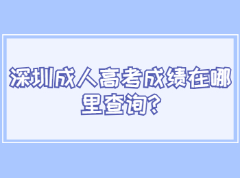 深圳成人高考成绩在哪里查询?