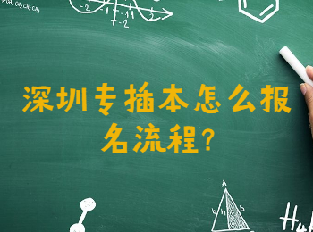 深圳专插本怎么报名流程?