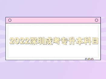 2022深圳成考专升本科目