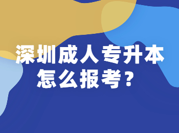 深圳成人专升本怎么报考？