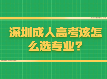 深圳成人高考该怎么选专业?