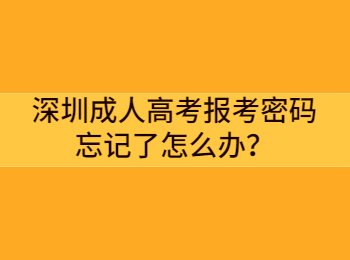 深圳成人高考报考密码忘记了怎么办？